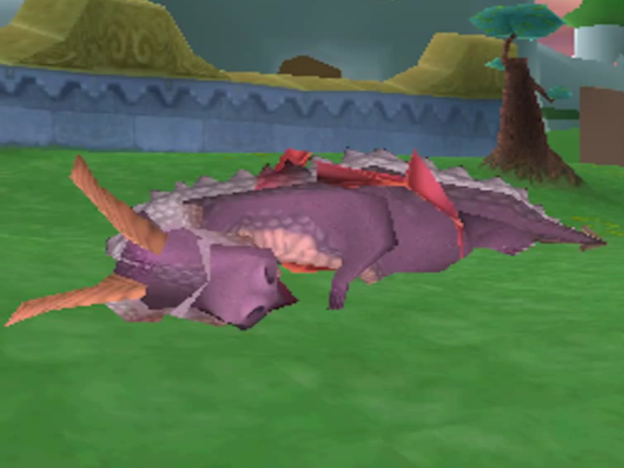 Astor sleeping