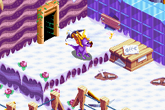 Frontier Region